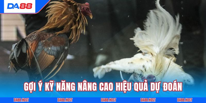 Gợi ý kỹ năng nâng cao hiệu quả dự đoán