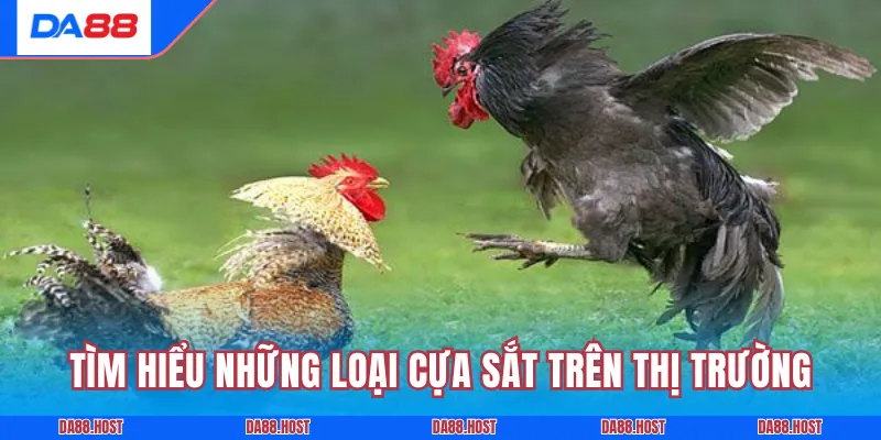 Tìm hiểu những loại cựa sắt trên thị trường